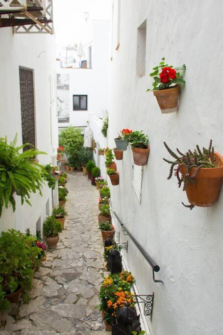 Casa Anicca Lejlighed Vejer de la Frontera Eksteriør billede